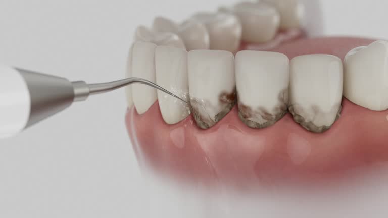 Reliable Dental contractor in Chester, VA by Dentist Open Now